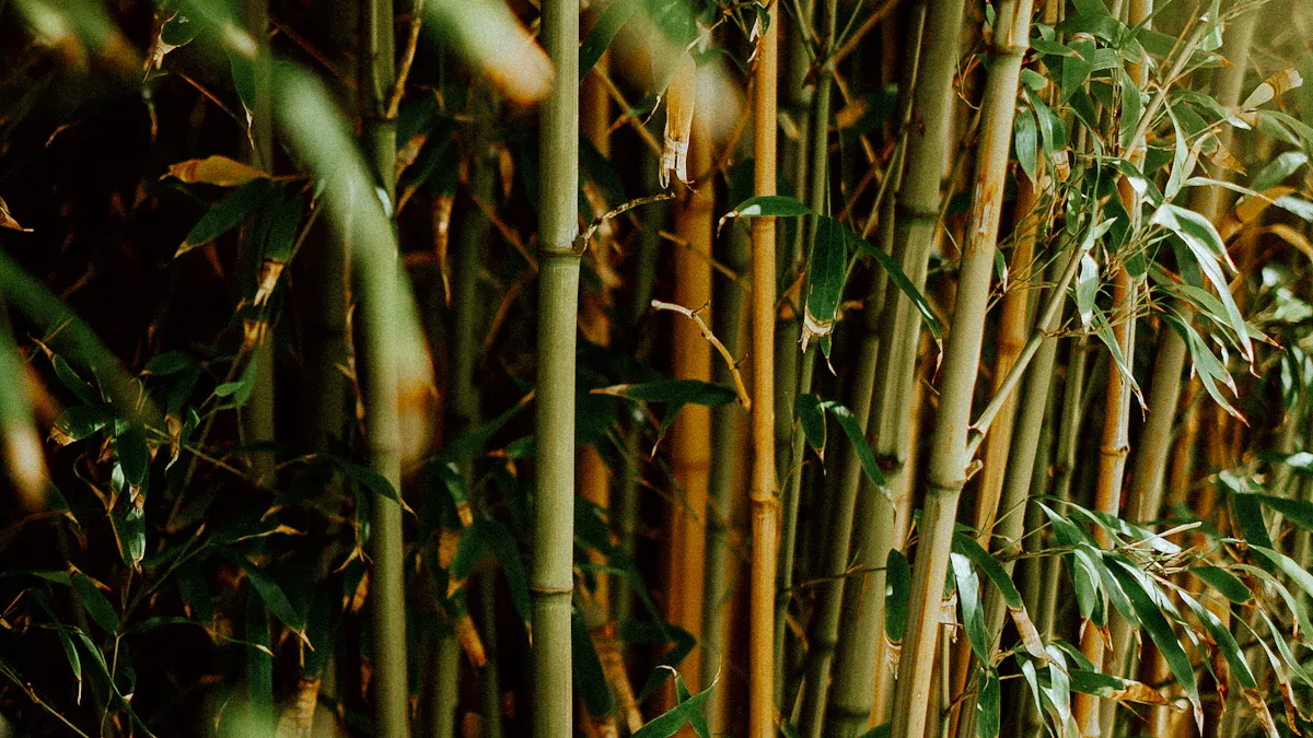 Why a Bamboo Desk Organiser Is a Sustainable Office Accessory