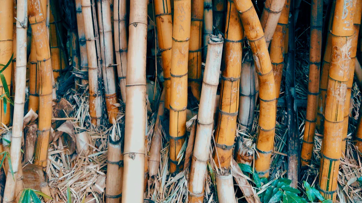 Why Choose Bamboo for Your Plant Shelf