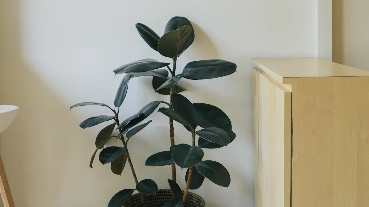 Top Bamboo Plant Stands Reviewed for 2025