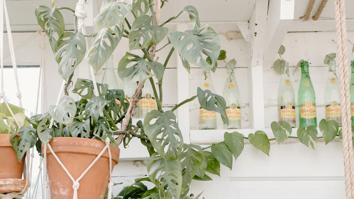 Top Bamboo Plant Stands to Transform Your Home in 2025