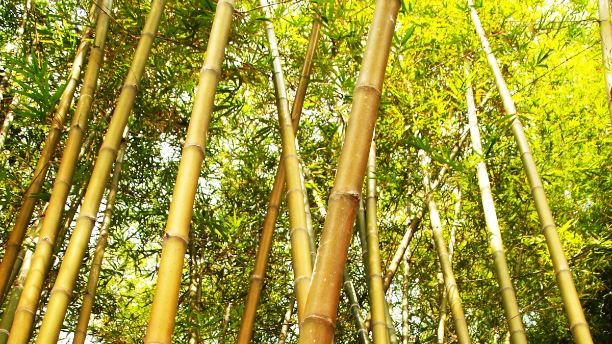Eco-Friendly Benefits of Bamboo Lap Trays