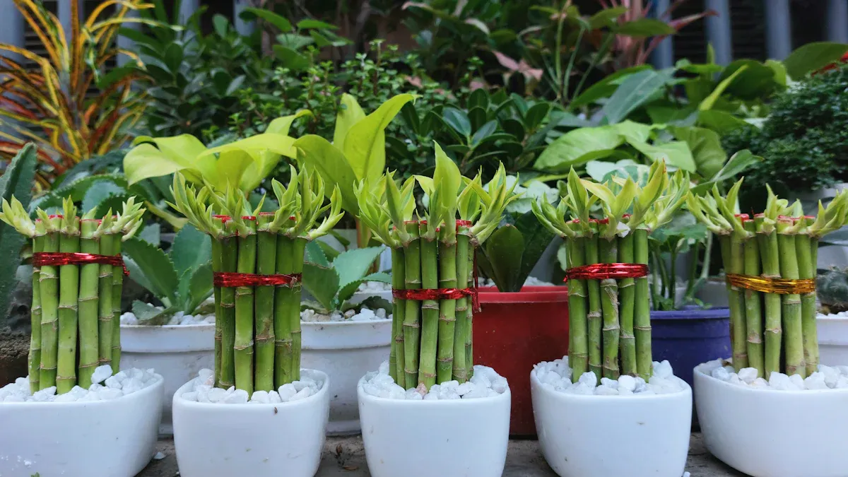 Bamboo Plant Holder: An Eco-Friendly Choice