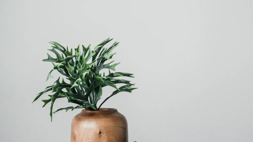 Why Choosing a Bamboo Plant Holder Is Better for the Planet and Your Home