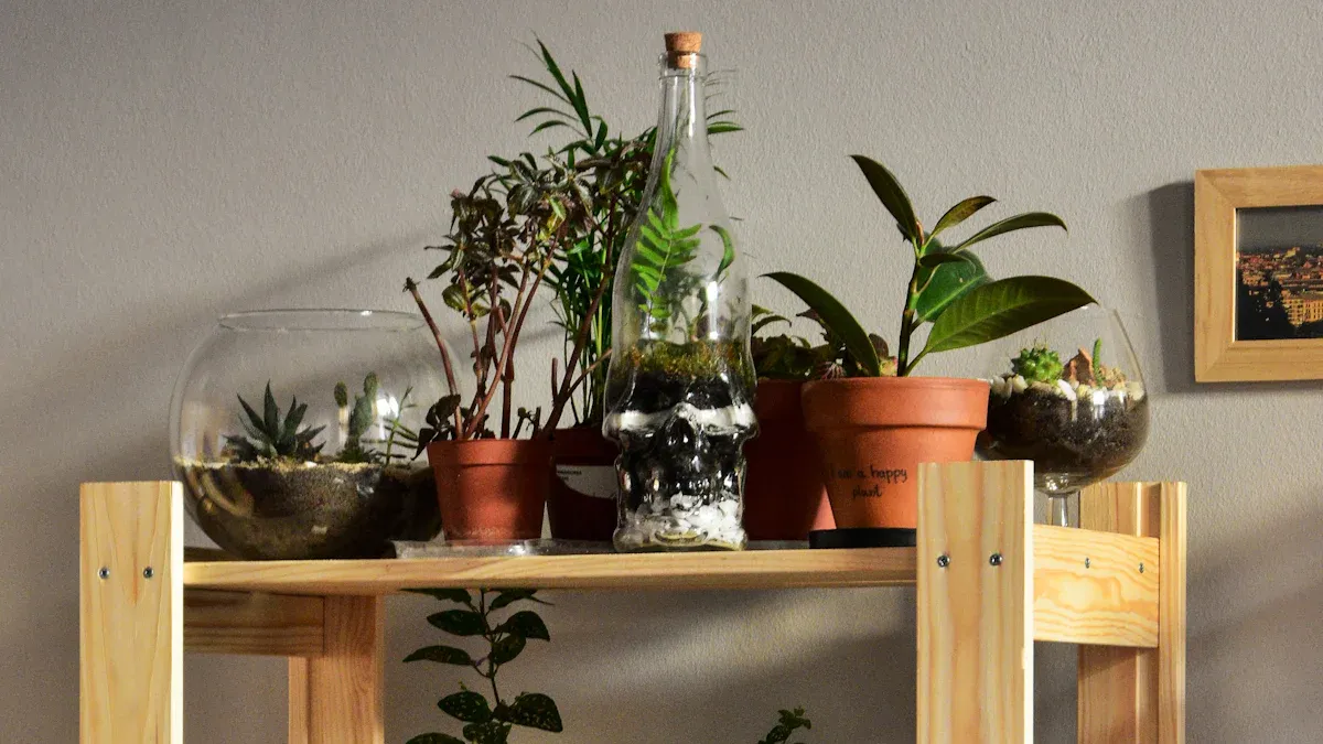 Benefit 4: Create a Healthier Home for Your Plants