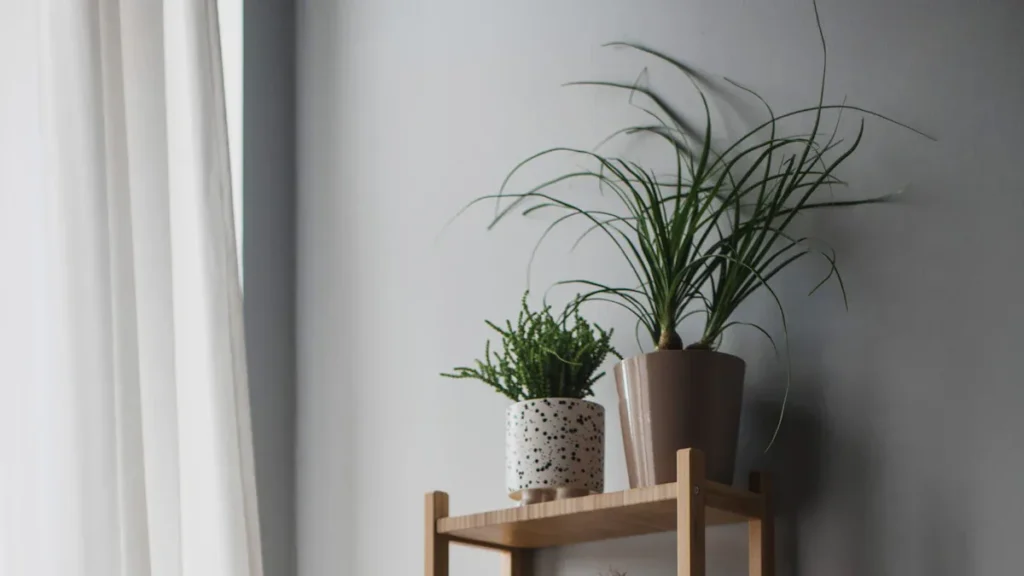 Rethink your decor with a plant stand bamboo