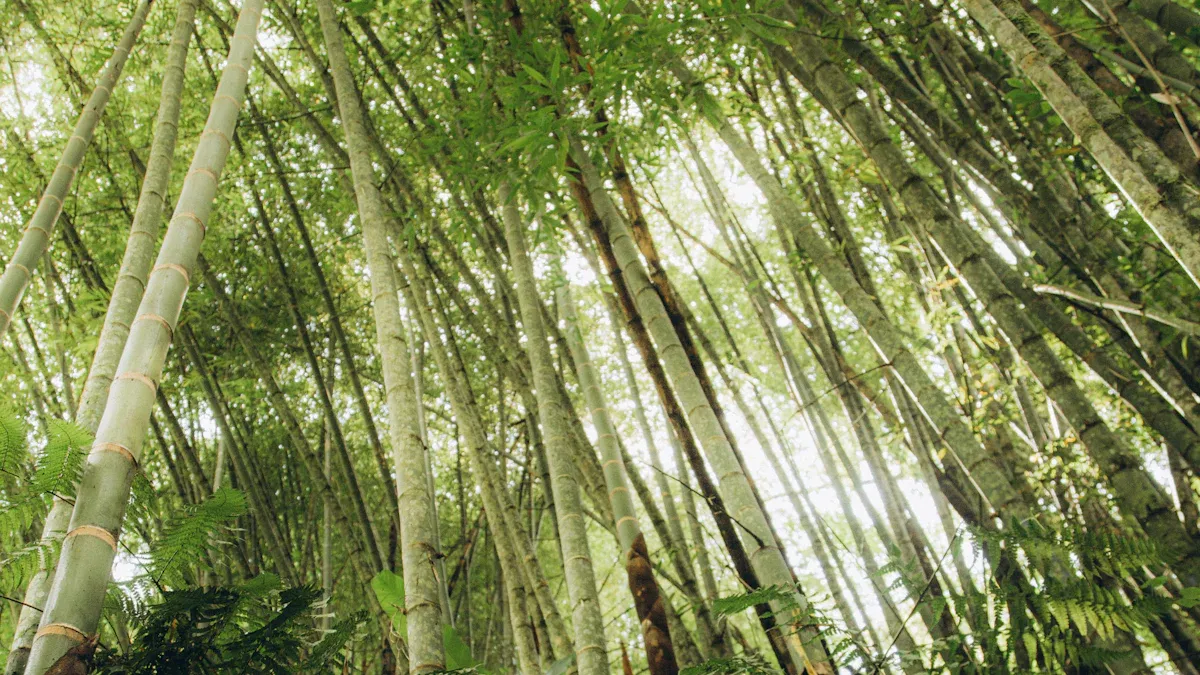 Eco-Friendly Benefits of Bamboo Trays for Eating