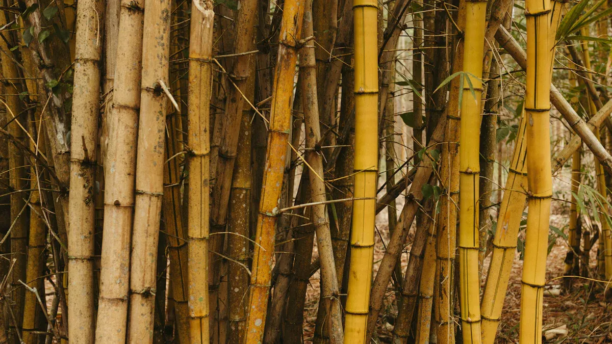 Why Bamboo Trays for Eating Are Better for the Planet