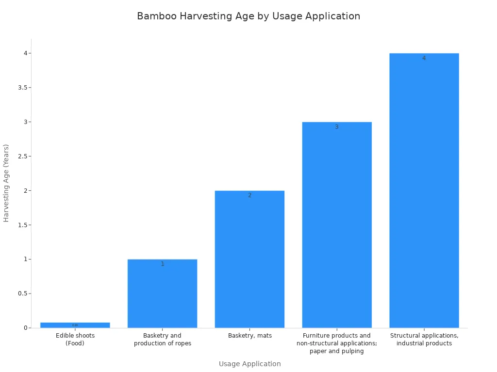 A bar chart showing the harvesting age of bamboo for different applications. The age increases from edible shoots (less than a year)  to structural applications (up to 4 years).