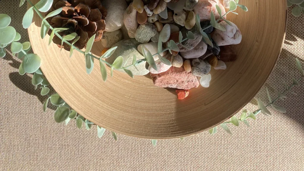 5 Environmental Reasons to Choose Eco-Friendly Bamboo Plates