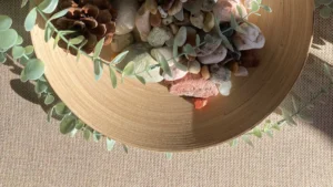 5 Environmental Reasons to Choose Eco-Friendly Bamboo Plates